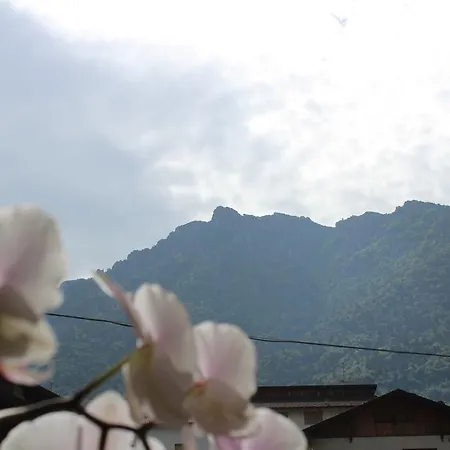 Apartament La Sirena